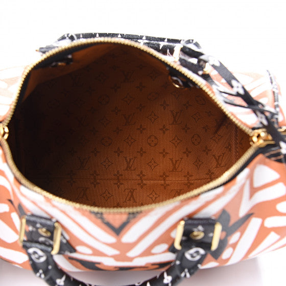 LOUIS VUITTON Multicolor Crafty Speedy 25 Bandouliere Shoulder Bag